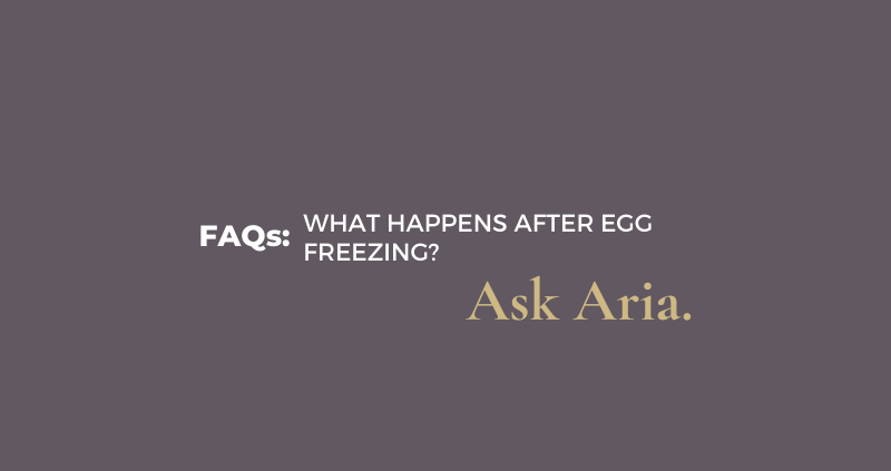 What happens after egg freezing?