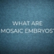 What are mosaic embryos