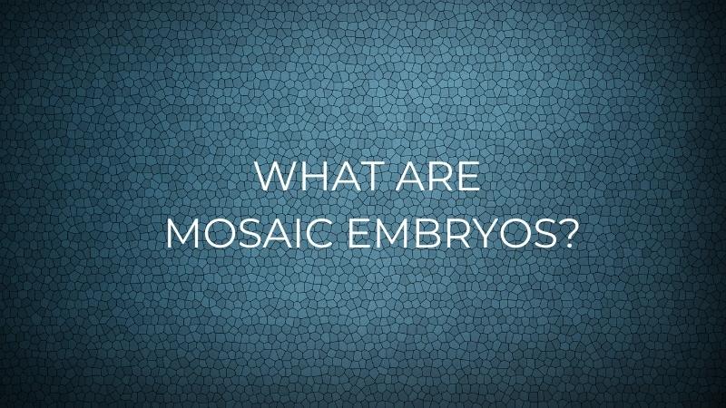 What Are Mosaic Embryos Embryo Selection Aria Fertility