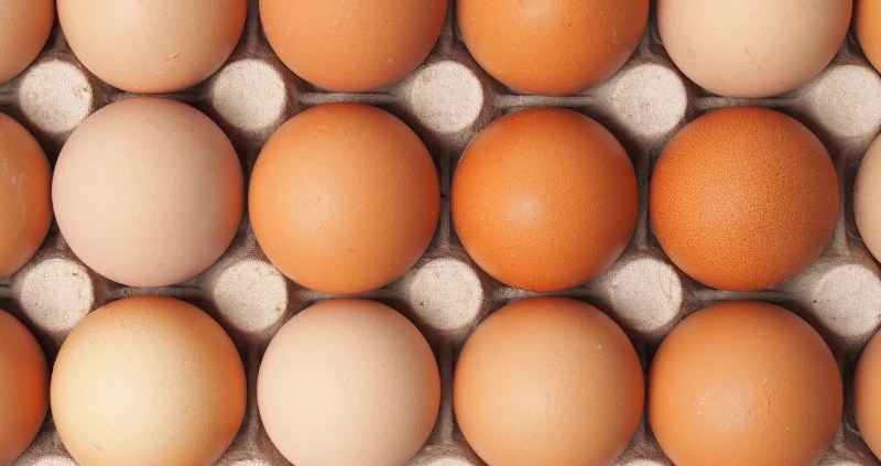 Improving egg quality