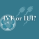 Difference between IVF and IUI