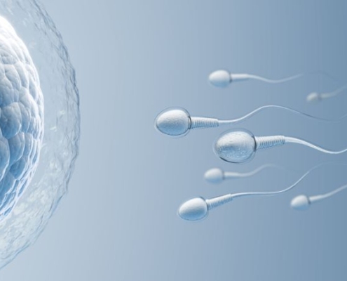 The expansion of AI in IVF