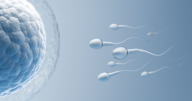 The expansion of AI in IVF