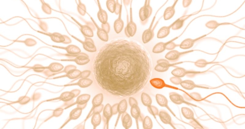 ICSI for male infertility