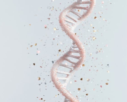 genetic screening in IVF