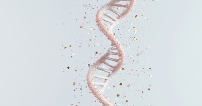 genetic screening in IVF